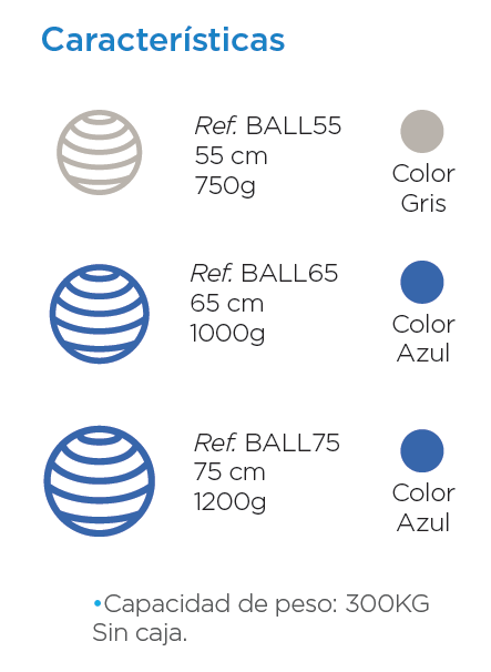 Caracteristicas balón antiponchadura profesional