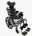 Silla de ruedas neurológica para adulto PH5002