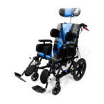 Silla de ruedas estándar neurológica HE804